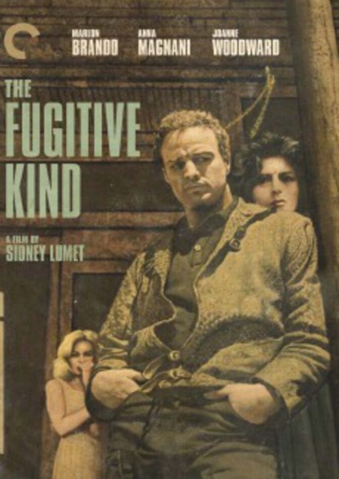 Mannen i ormskinnsjackan