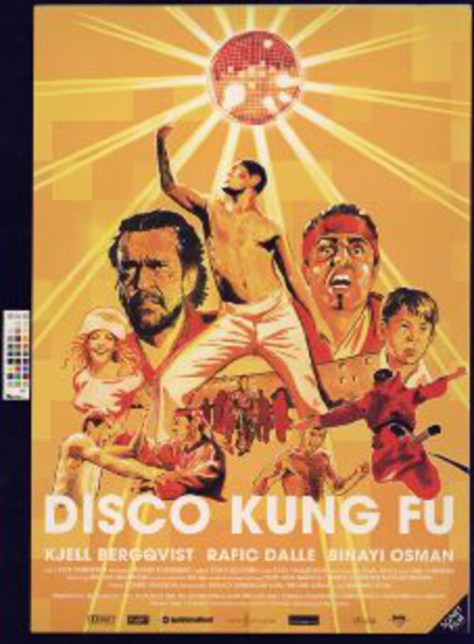Disco Kung Fu
