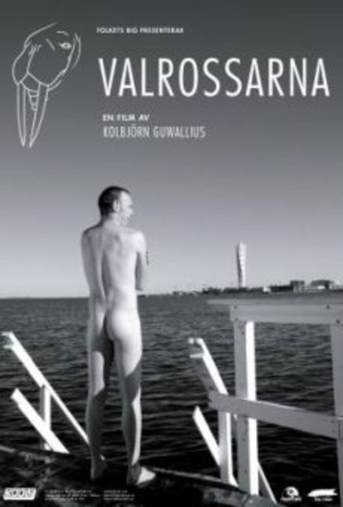 Valrossarna