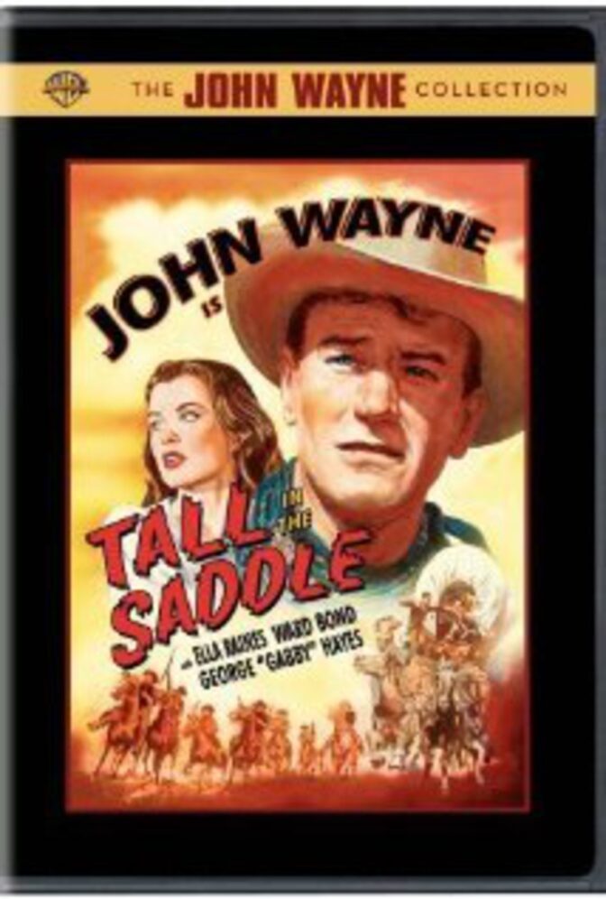 En cowboy rensar stan