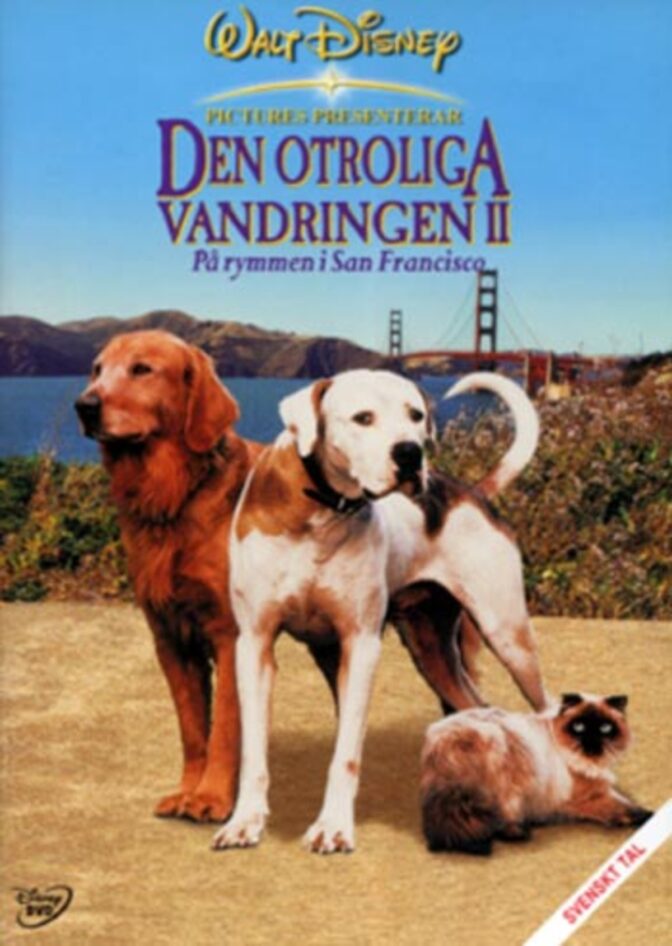 På rymmen i San Francisco – Den otroliga vandringen 2