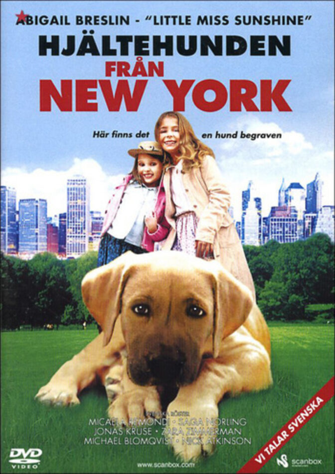 Hjältehunden från New York