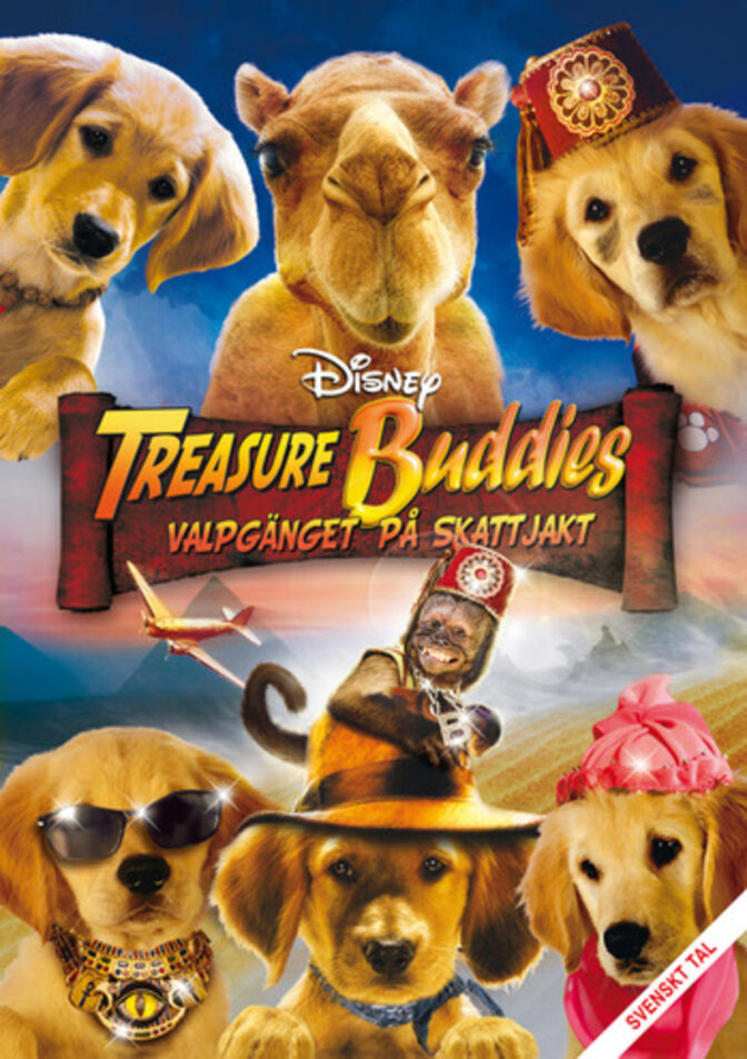 Treasure Buddies