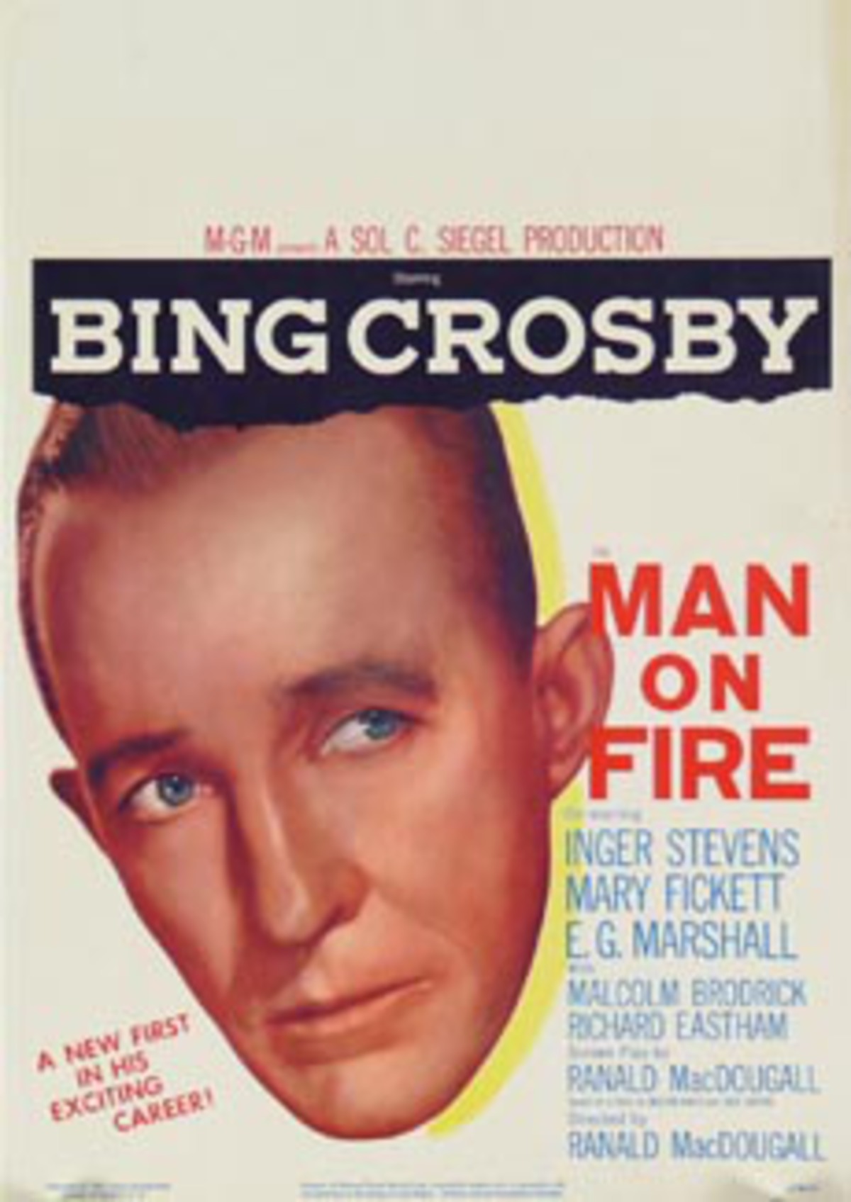 large_original-42602.jpg