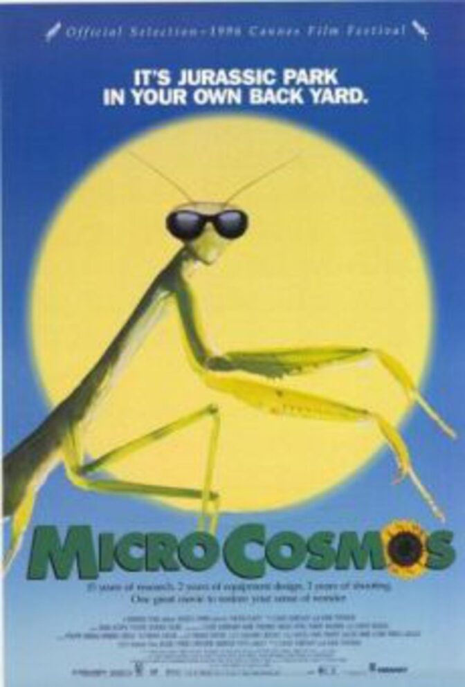 Microcosmos – Den lilla världen