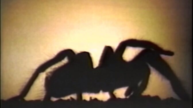 Nolans första film var i skräckgenren.