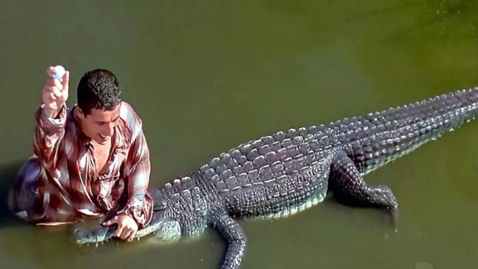 Adam med aligator.