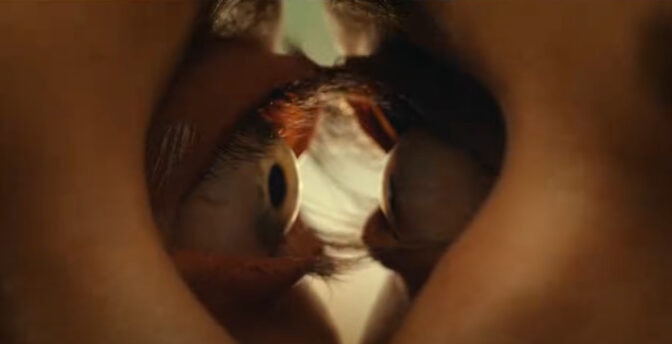 Stephen King gillar "Together".