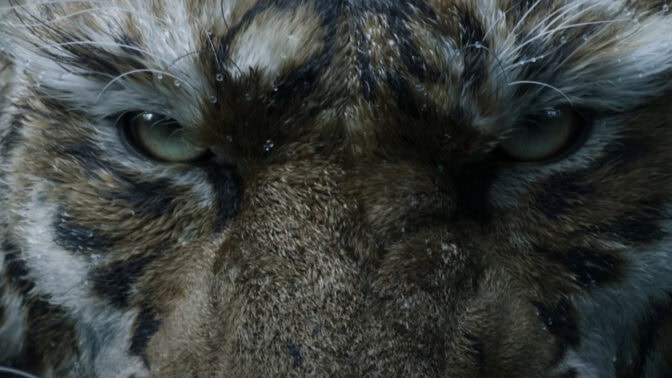 "Black Myth: Zhong Kui" är en uppföljare till det hyllade "Black Myth: Wukong" från 2024.