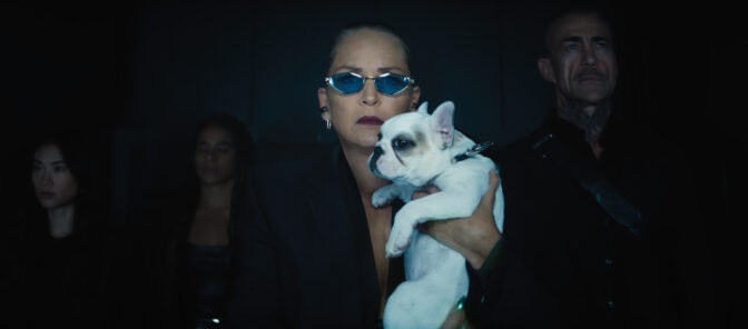 Ingen bråkar med Sharon Stone i "Nobody 2"