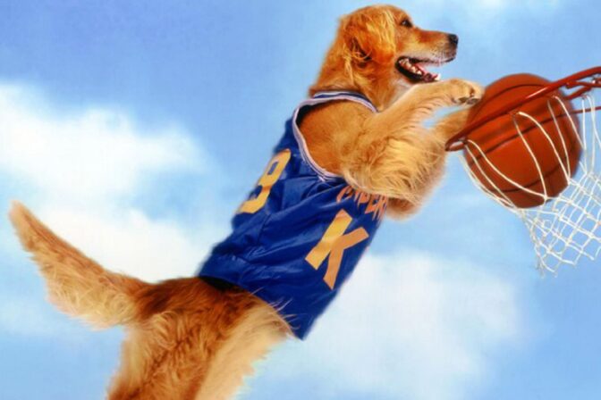 "Air Bud" från 1997.