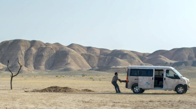 Årets Guldpalmsvinnare