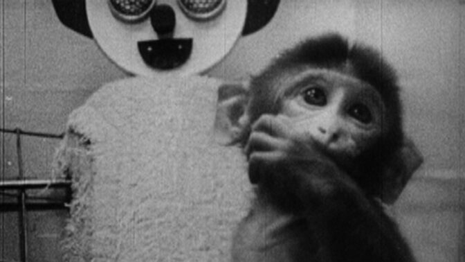 "Star Spangled to Death"