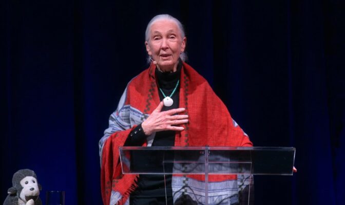 Jane Goodall i dokumentären "Jane Goodall: Reasons for Hope"