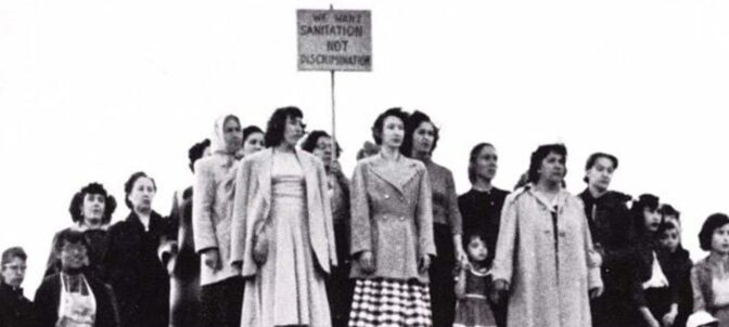 "Jordens salt", 1954