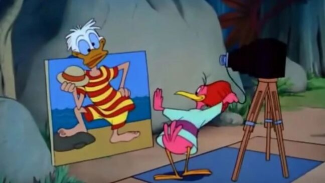 Kalle Anka och hackspetten, från kortfilmen som visas på SVT varje år.