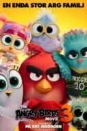 The Angry Birds Movie 3