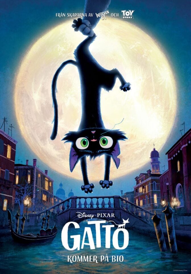 Gatto