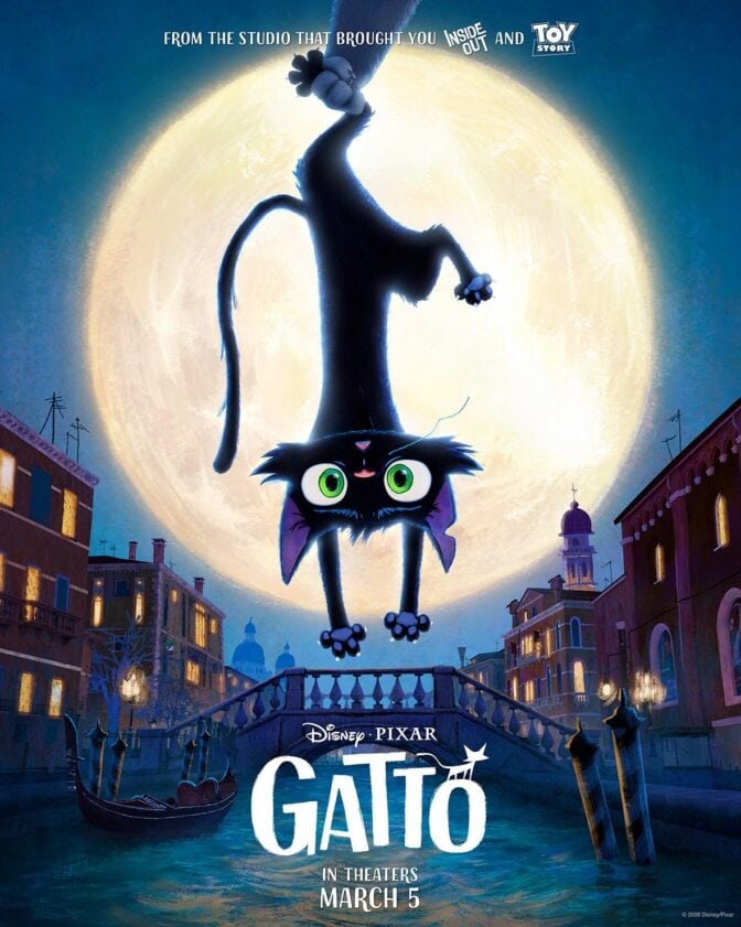 Gatto