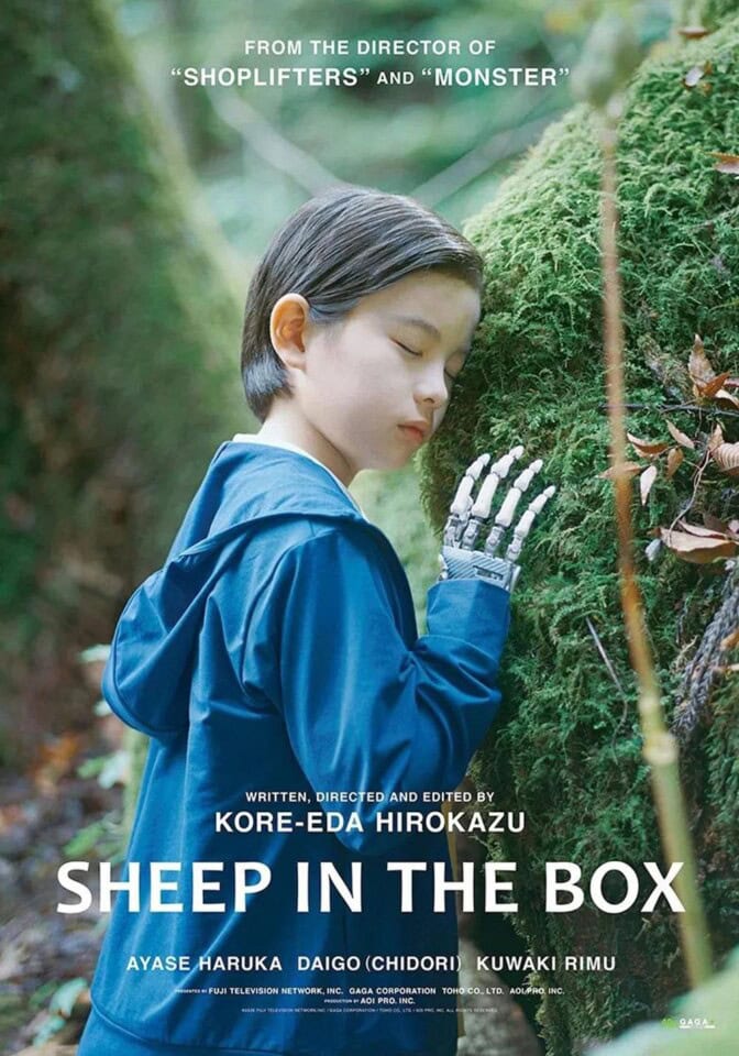Sheep in the Box