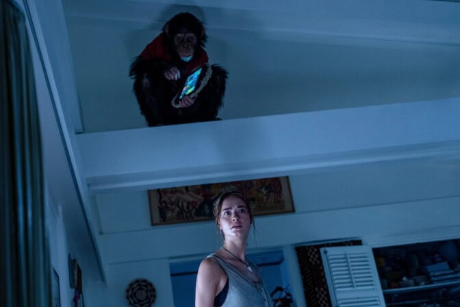 Otäck djurskräck klättrar in på digitala tjänster: ”Välgjord slasher”