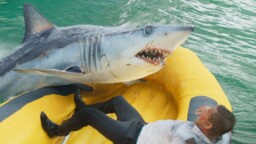 “Deep Blue Sea”-regissören återvänder med ny hajthriller