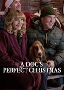 A Dog’s Perfect Christmas