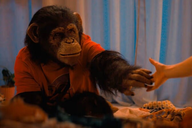 Mordisk apa går bananas i en ”välgjord slasher” – ute digitalt