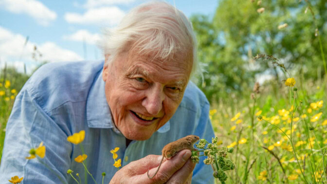 David Attenborough i BBC-dokumentären "Wild London".