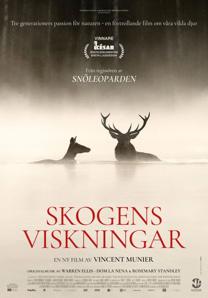 Skogens viskningar