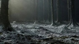 Första bilden från Robert Eggers ”Werwulf” är här… och alla undrar samma sak