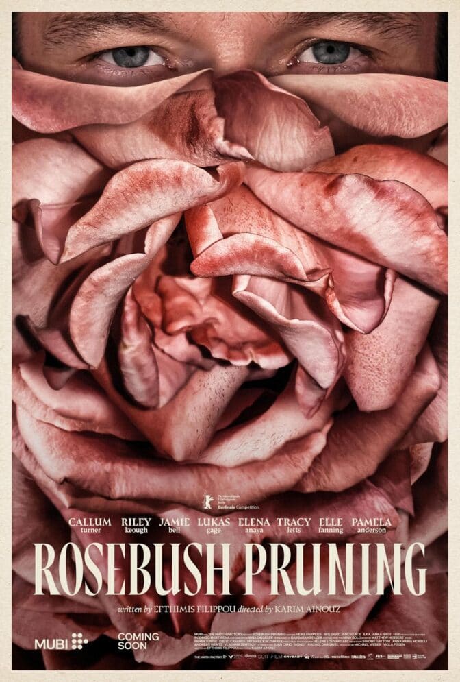 Rosebush Pruning