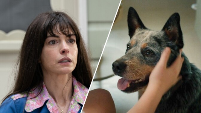 Anne Hathaway: ”Filmer där hundar dör borde vara barnförbjudna”