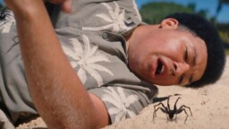 Trailern till ”Spider Island” är precis så vidrig som det låter