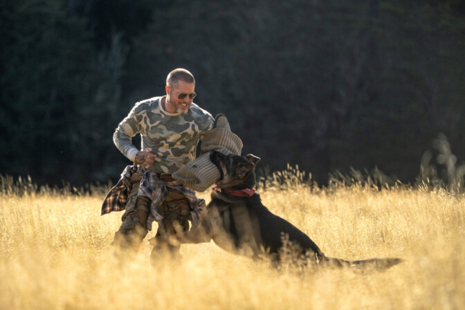 Brad Pitt och hunden Uber i "Heart of the Beast".